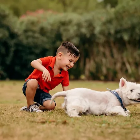 Çiftlik konaklama Guillem *